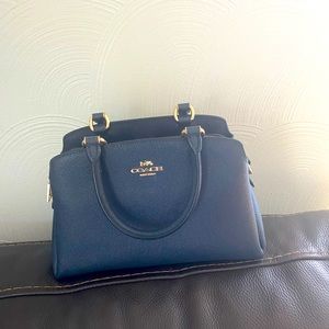 Coach mini lillie carry all